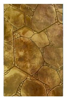 Natural Stones - Rock Garden